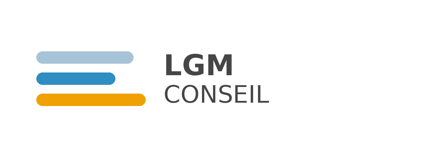 LGM CONSEIL - your next digital solution